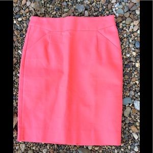 J. Crew skirt